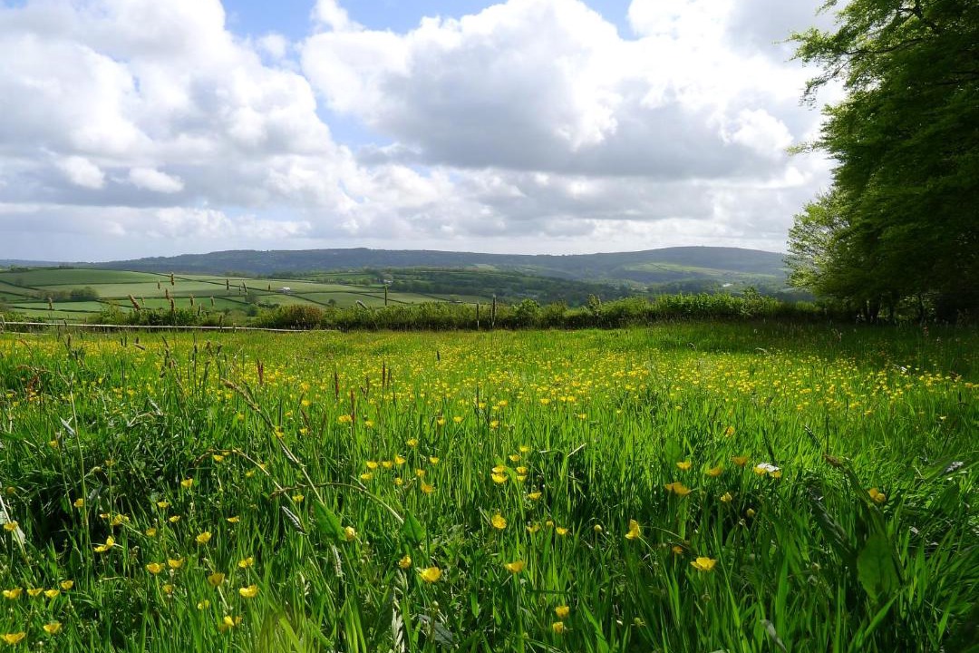Photo of Outdoor in Saint Ann's Chapel