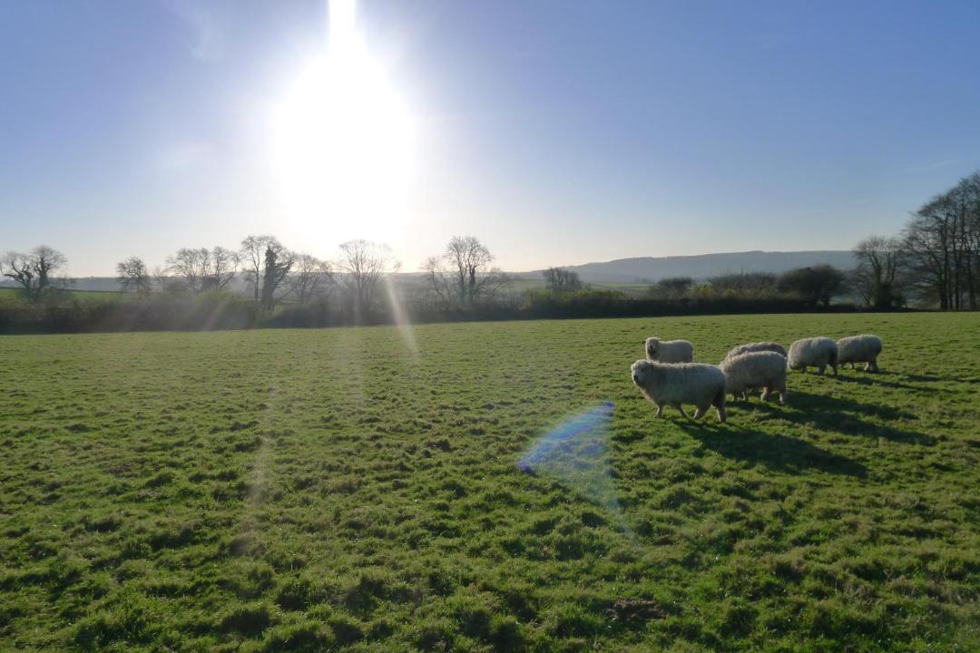 Photo of Outdoor in Saint Ann's Chapel
