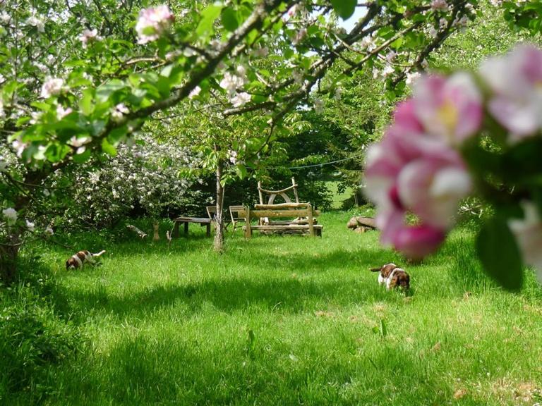 Photo of Others in Saint Ann's Chapel