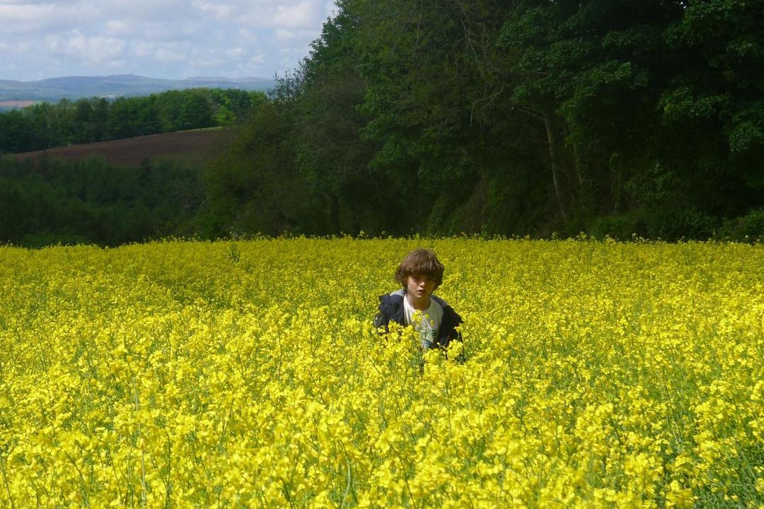 Photo of Others in Saint Ann's Chapel