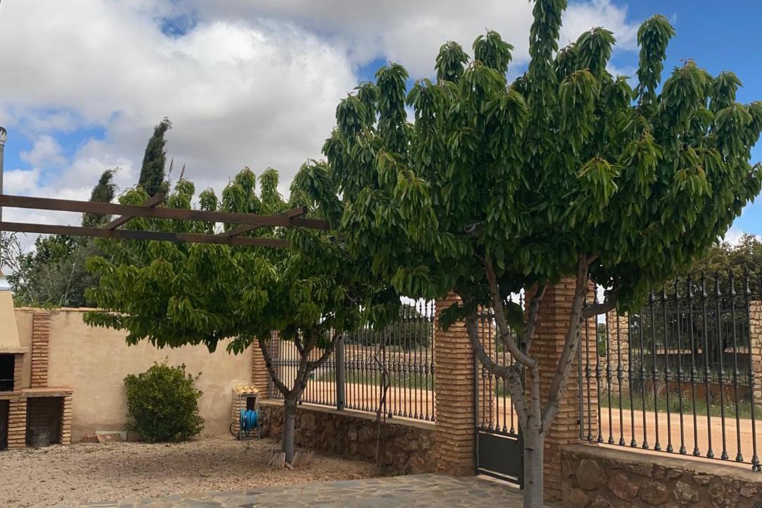 Photo of Others in Ossa de Montiel