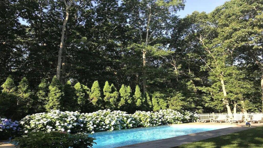 Photo of Outdoor in East Hampton North