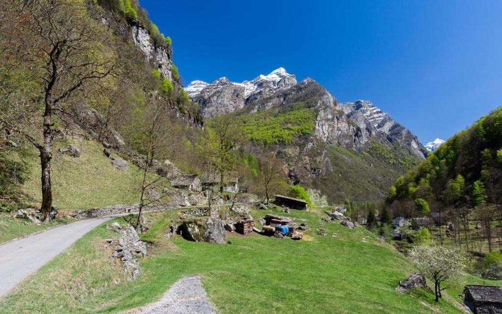 Photo of Others in Brione