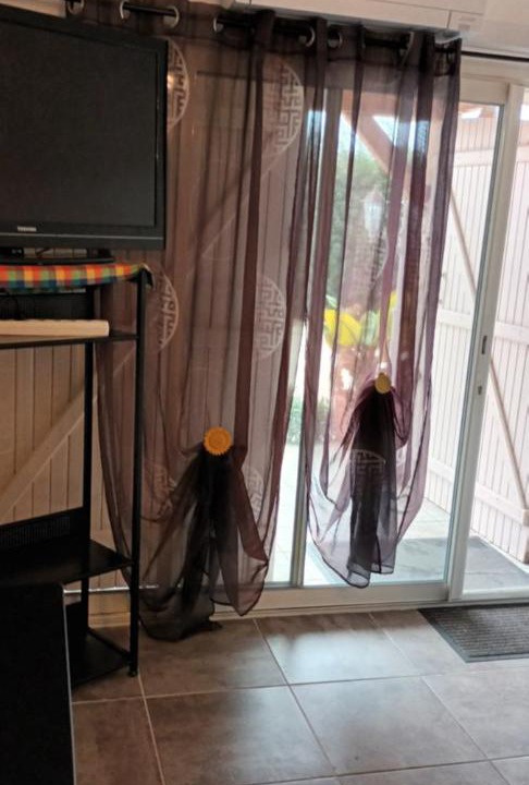 Photo of Others in Saint-Avit-Saint-Nazaire