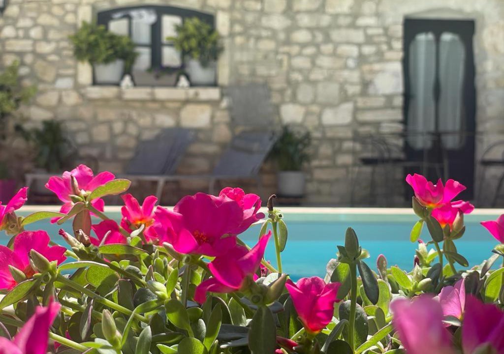 Photo of Others in Saint-Paul-Trois-Chateaux