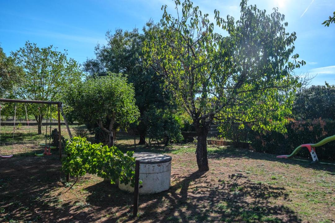 Photo of Outdoor in Albi