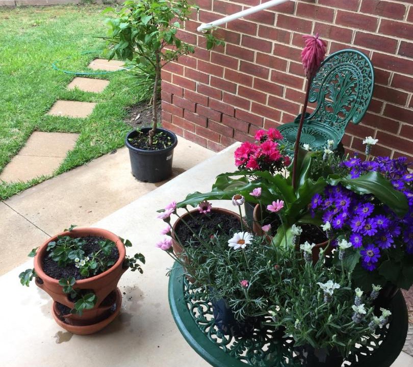 Photo of Patio Balcony in Maryborough