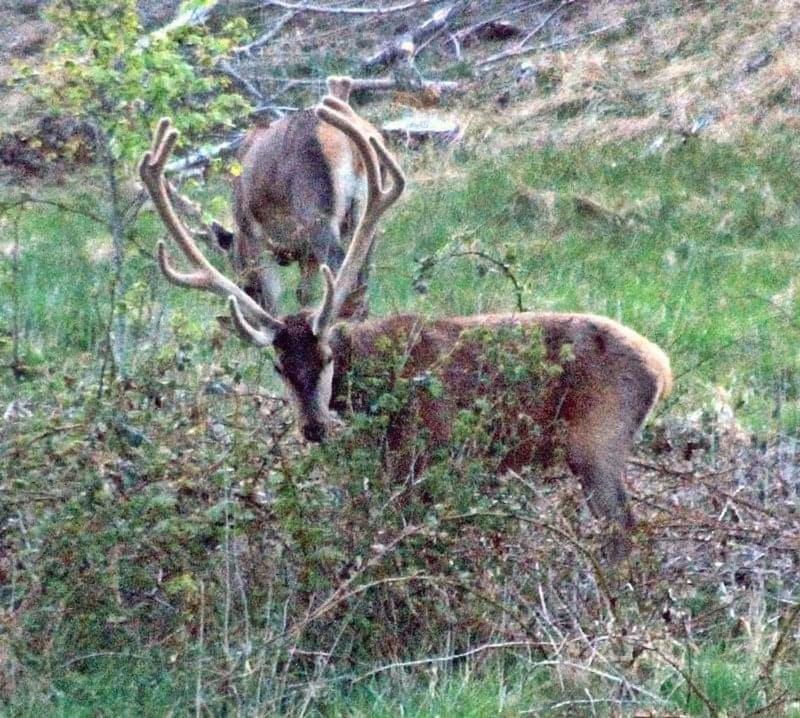 Photo of Others in Bedsted