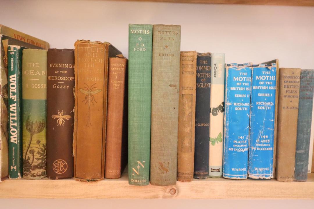 Photo of Others in Bures