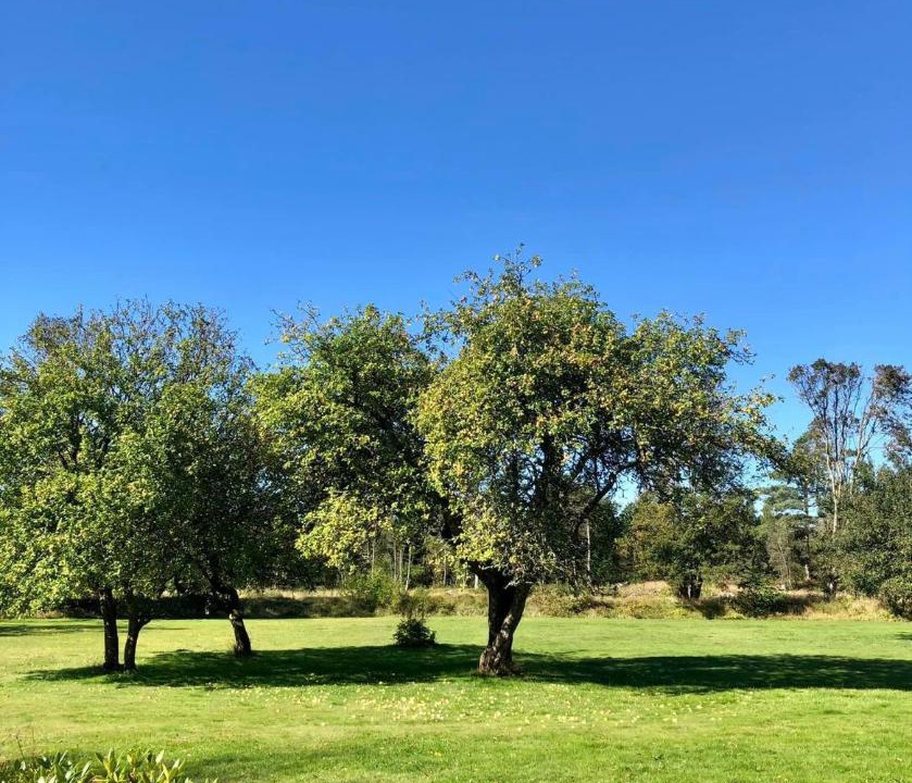 Photo of Outdoor in Bedsted