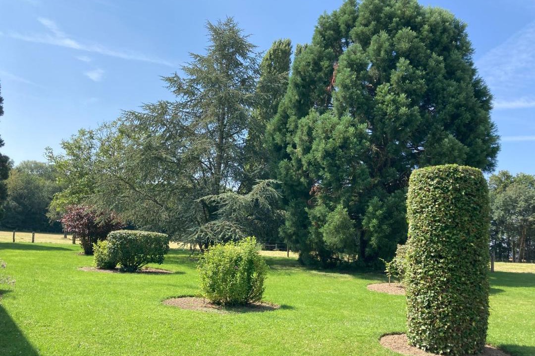 Photo of Others in Neuvy