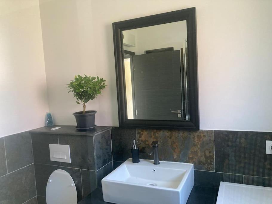 Photo of Others in Castelnaudary