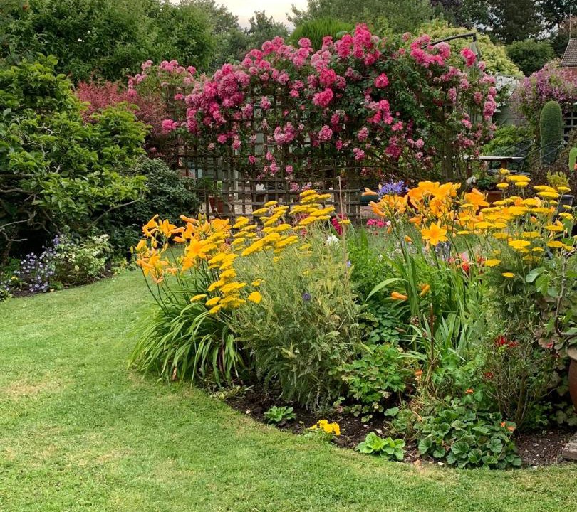 Photo of Others in Pewsey