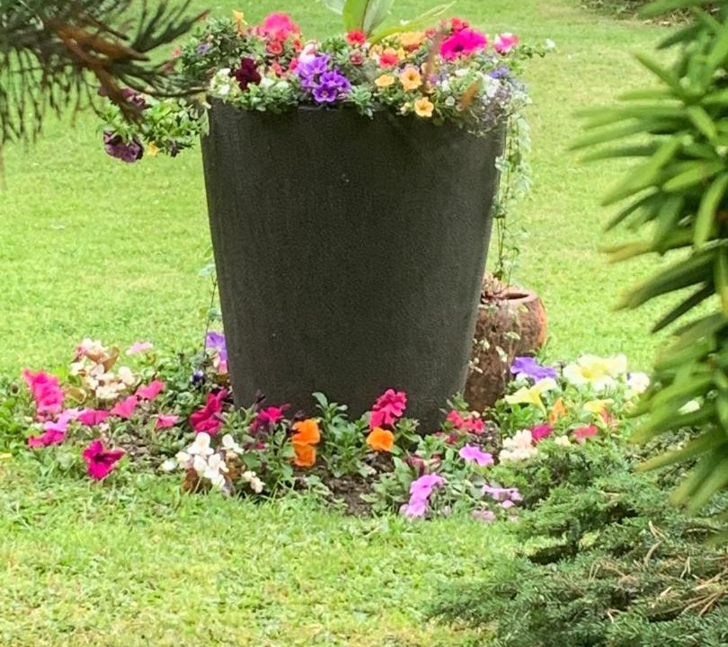 Photo of Others in Pewsey