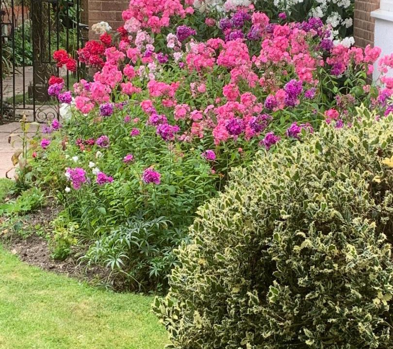 Photo of Others in Pewsey