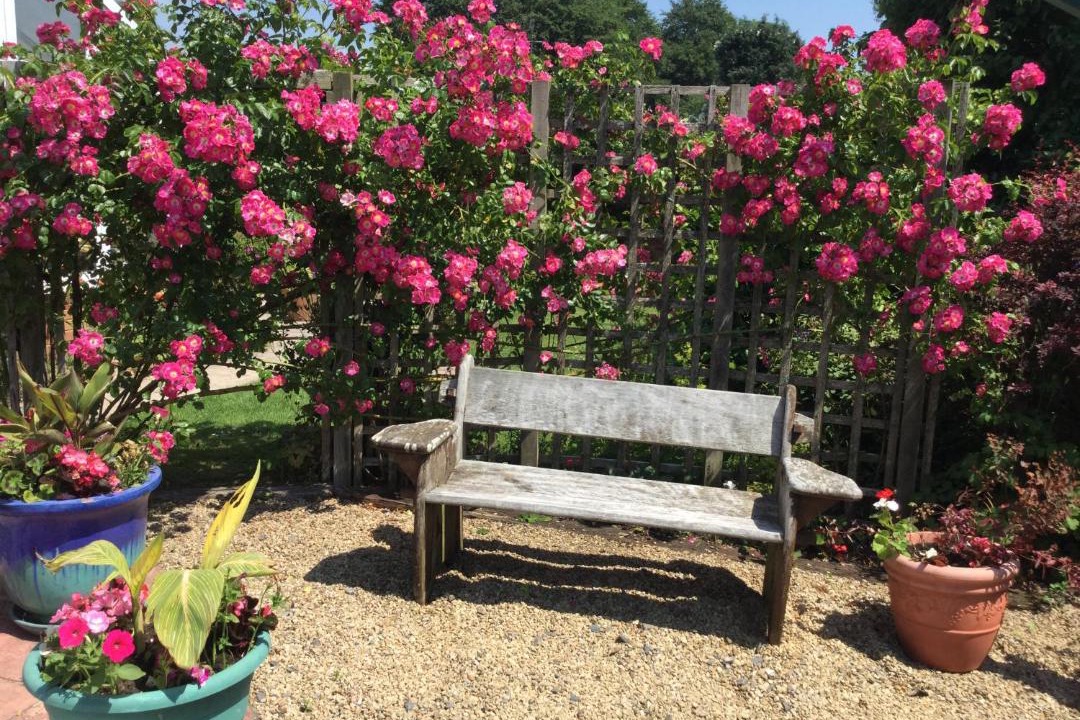 Photo of Patio Balcony in Pewsey