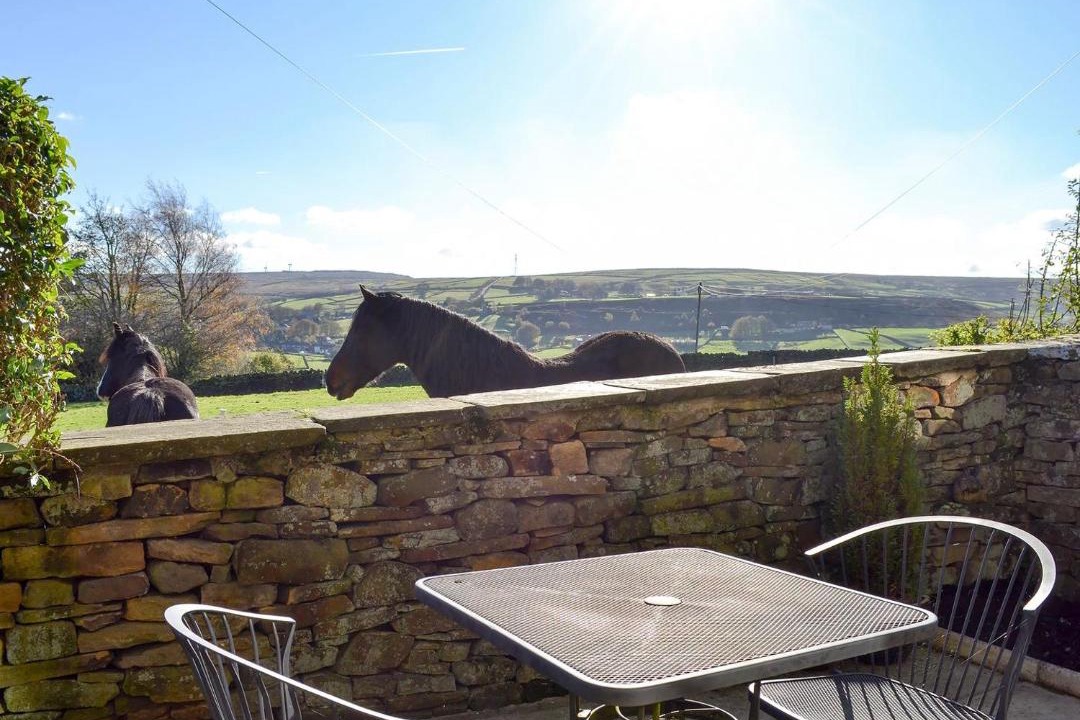 Photo of Others in Stanbury