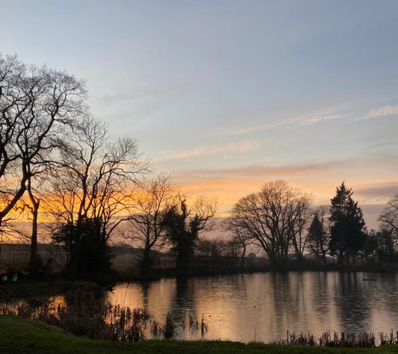 Photo of Others in Low Catton