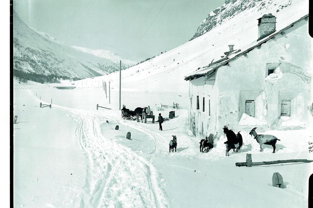Photo of Others in Pontresina