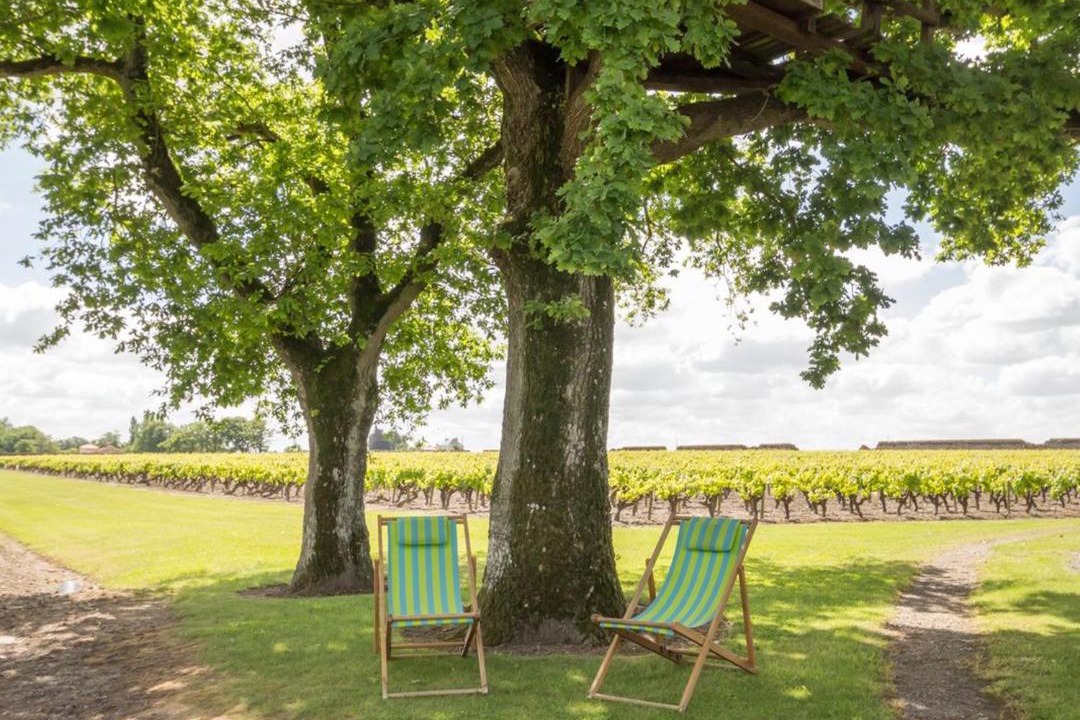 Photo of Others in Chateau-Thebaud