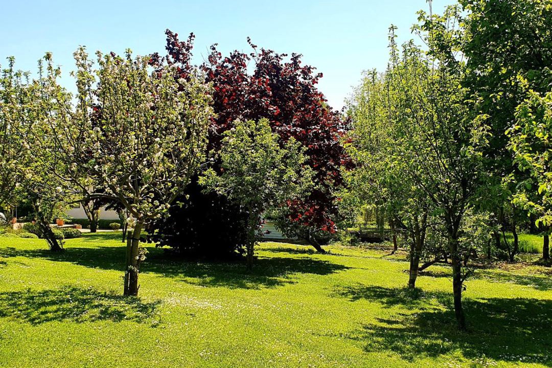 Photo of Others in Chediston