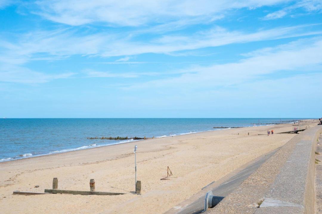 Photo of Others in Walcott