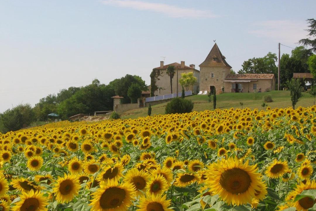 Photo of Others in Castera-Lectourois