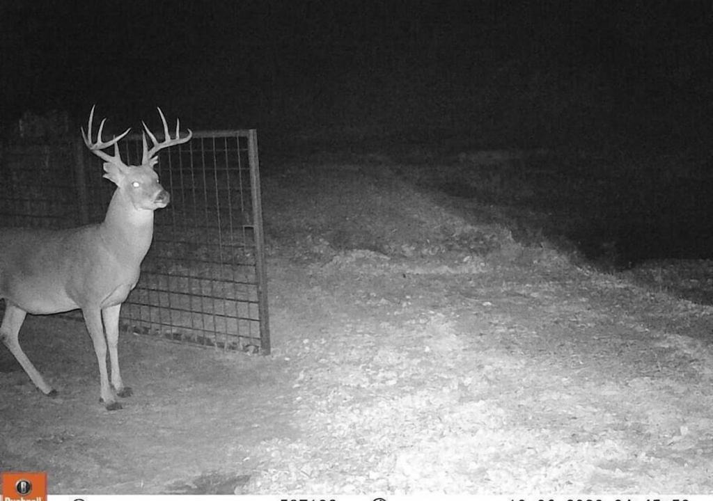 Photo of Others in Jacksboro