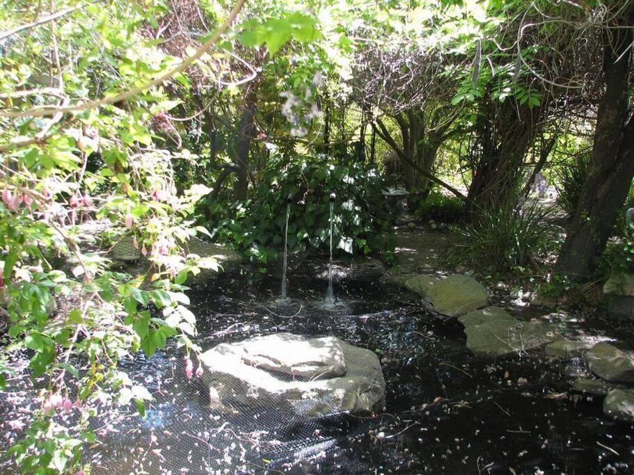 Photo of Others in Monte Sereno