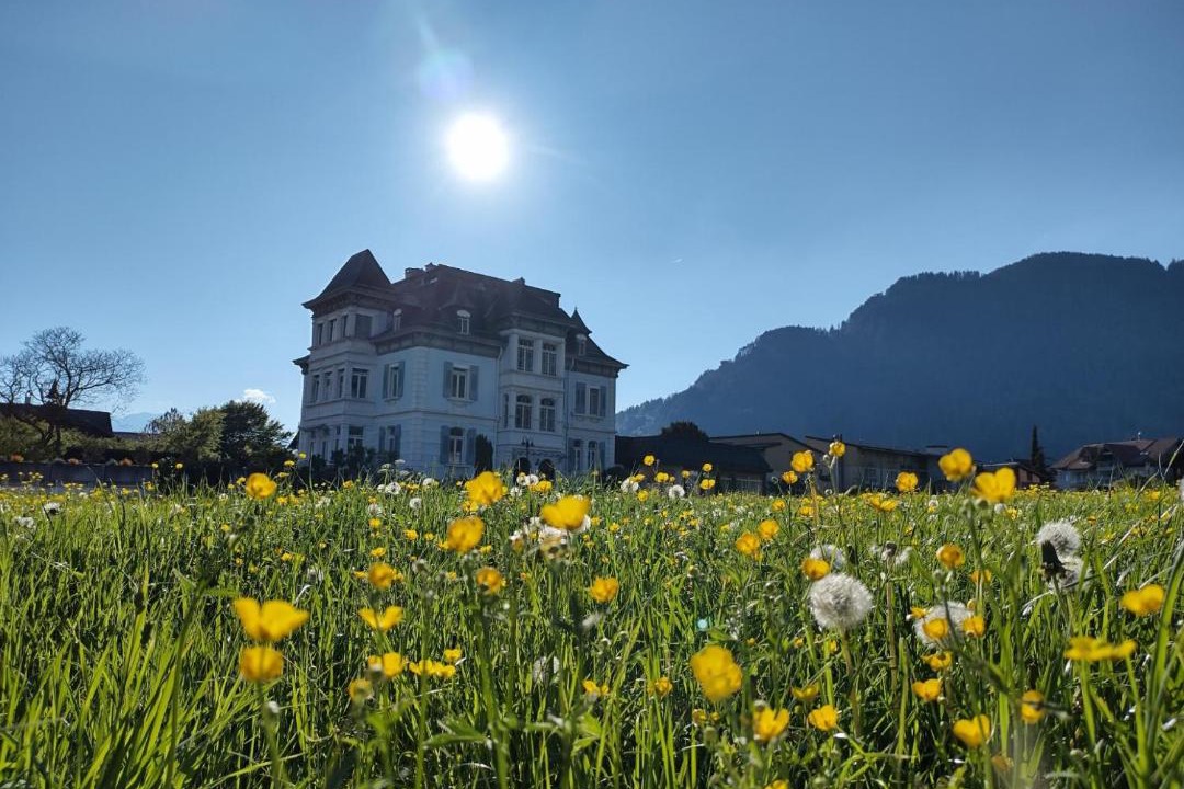 Photo of Others in Unterseen
