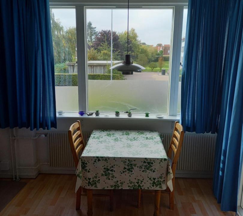 Photo of Others in Helsingor