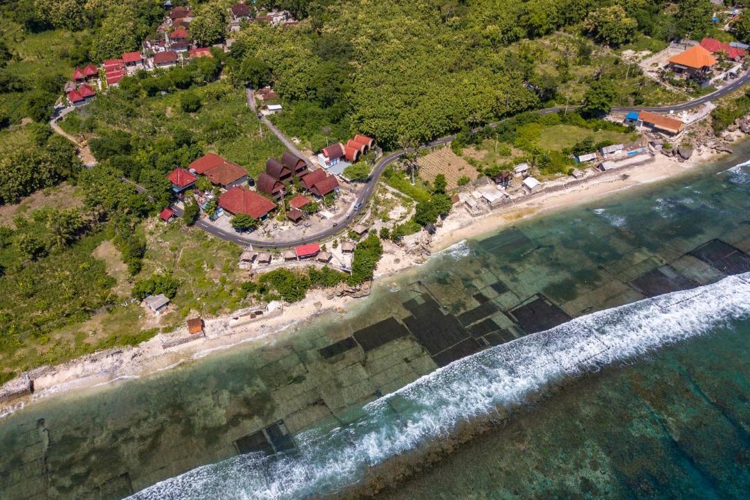 Photo of Others in Penida Island