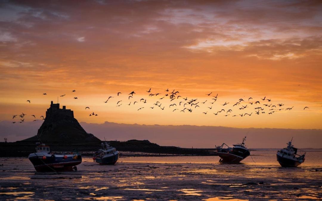 Photo of Outdoor in Berwick-upon-Tweed