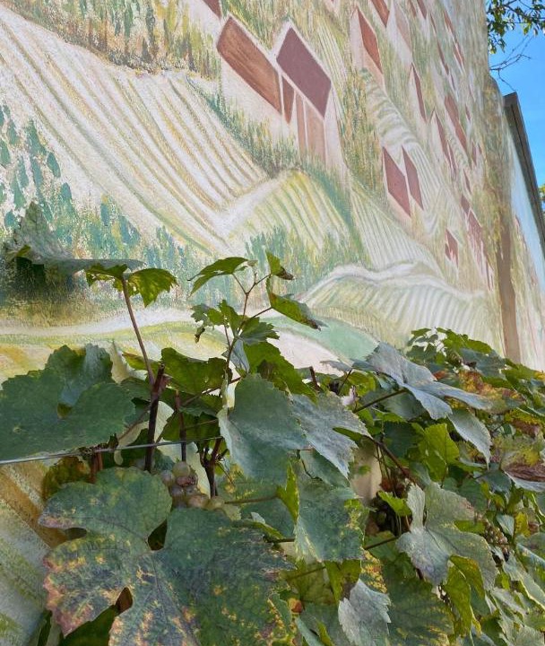 Photo of Others in Sezanne