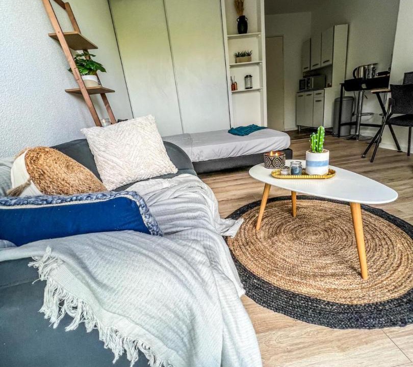 Photo of Livingroom in Rangueil-Sauzelong-Pech David-Pouvourville
