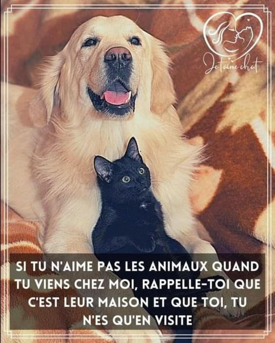 Photo of Others in Callen