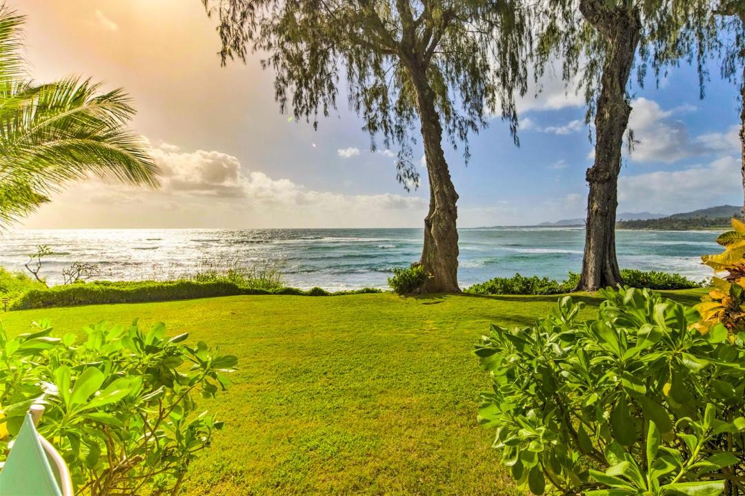 Photo of Outdoor in Wailua