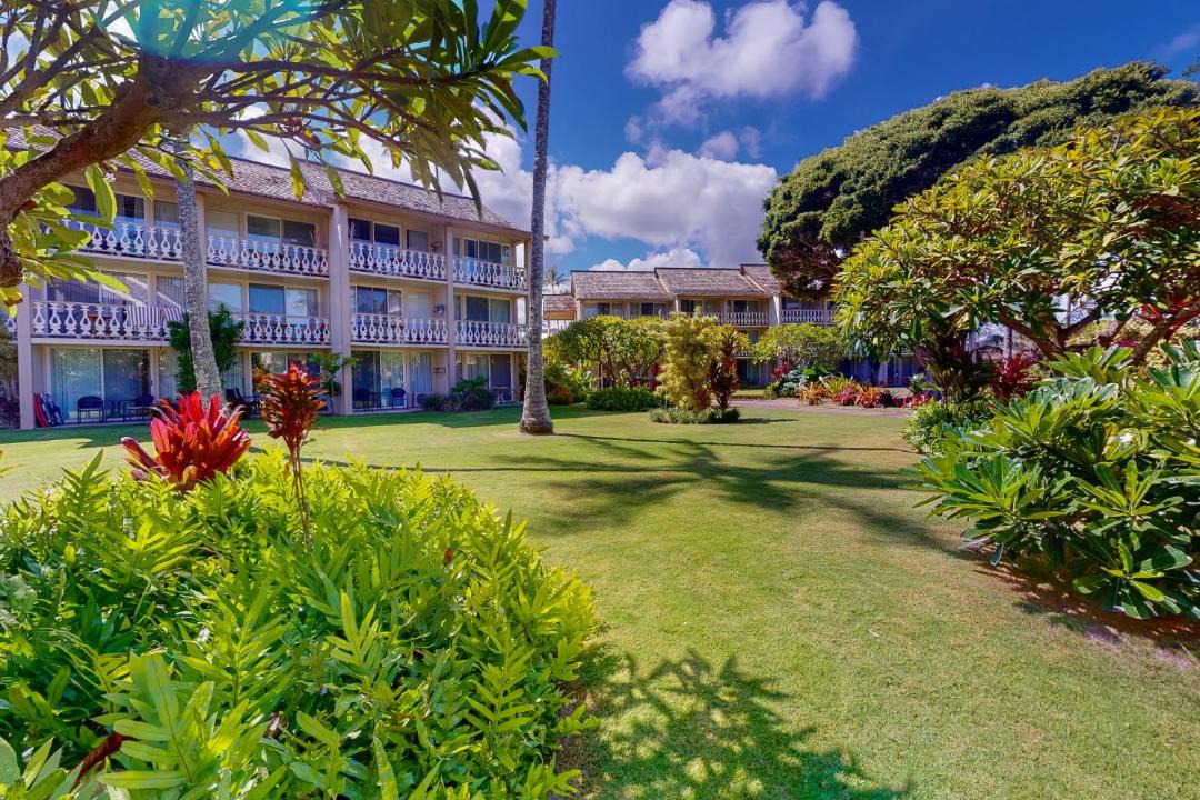 Photo of Others in Wailua