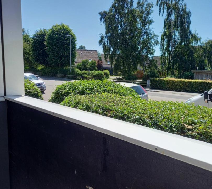 Photo of Others in Helsingor