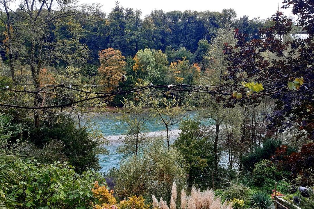 Photo of Outdoor in Langgasse-Felsenau