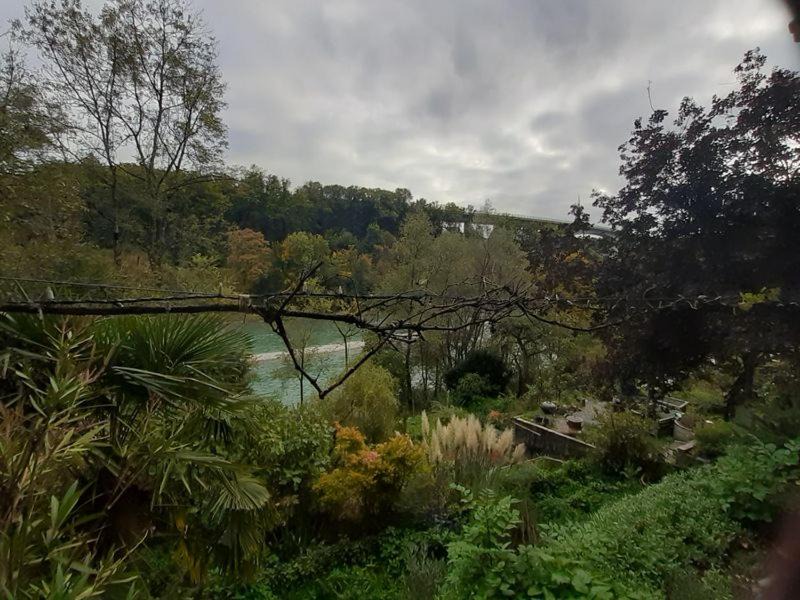 Photo of Outdoor in Langgasse-Felsenau
