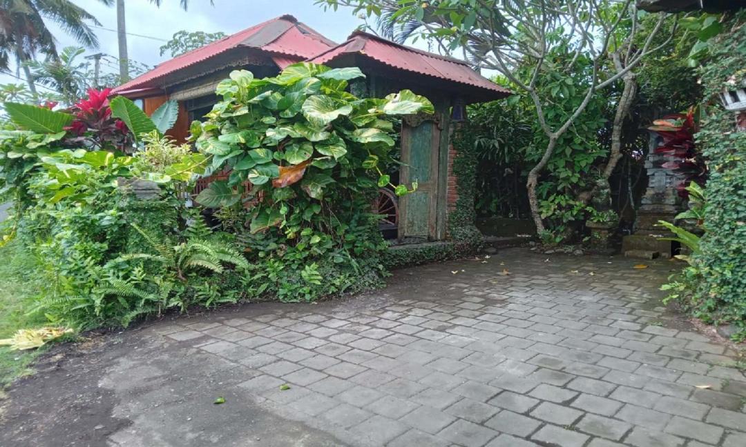 Photo of Others in West Selemadeg
