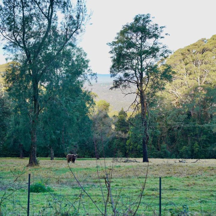 Photo of Others in Mount Irvine