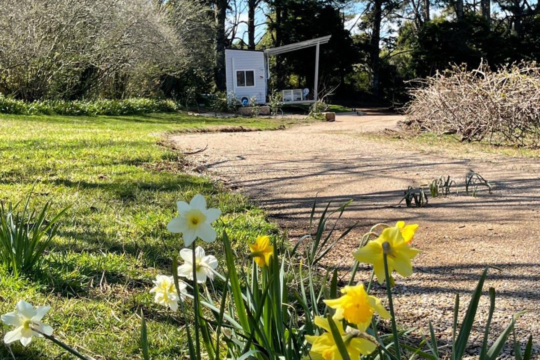 Photo of Others in Mount Irvine