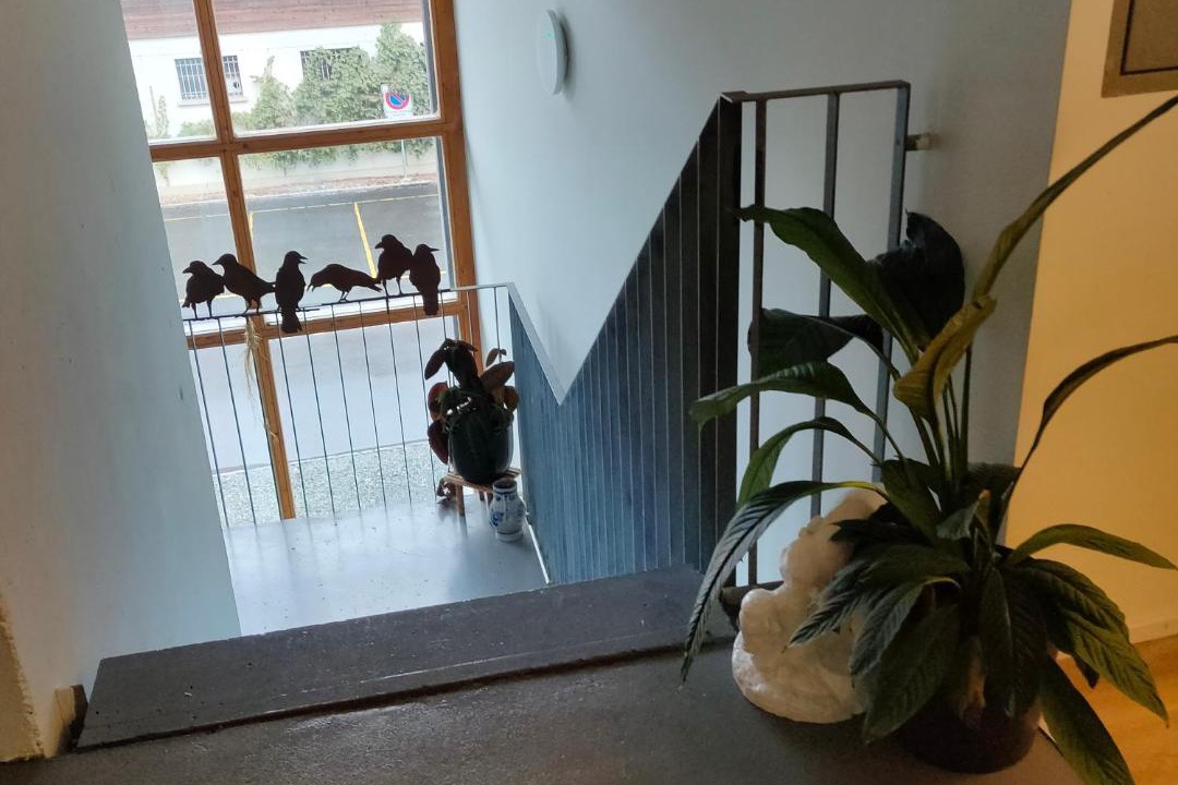 Photo of Others in Martisberg