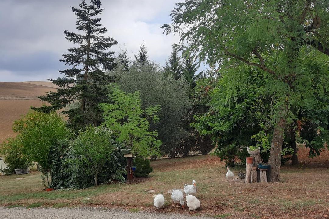 Photo of Others in Lachapelle