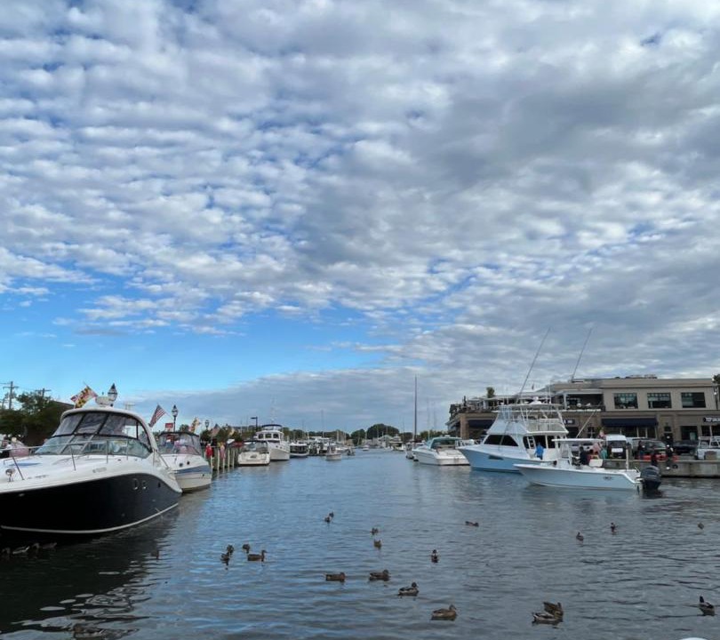 Photo of Others in Annapolis