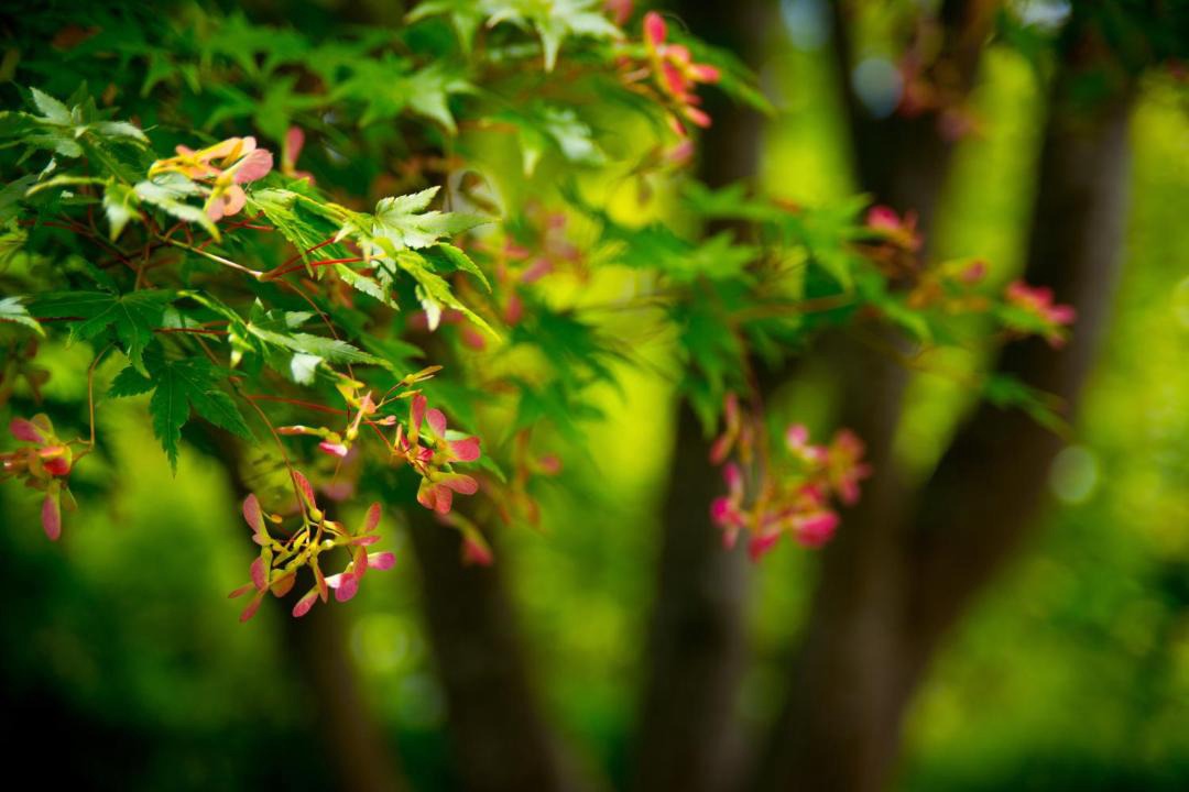 Photo of Others in Daylesford