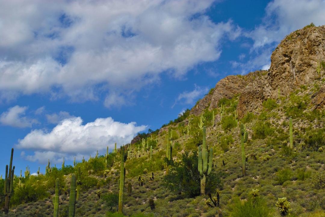 Photo of Others in Gold Canyon
