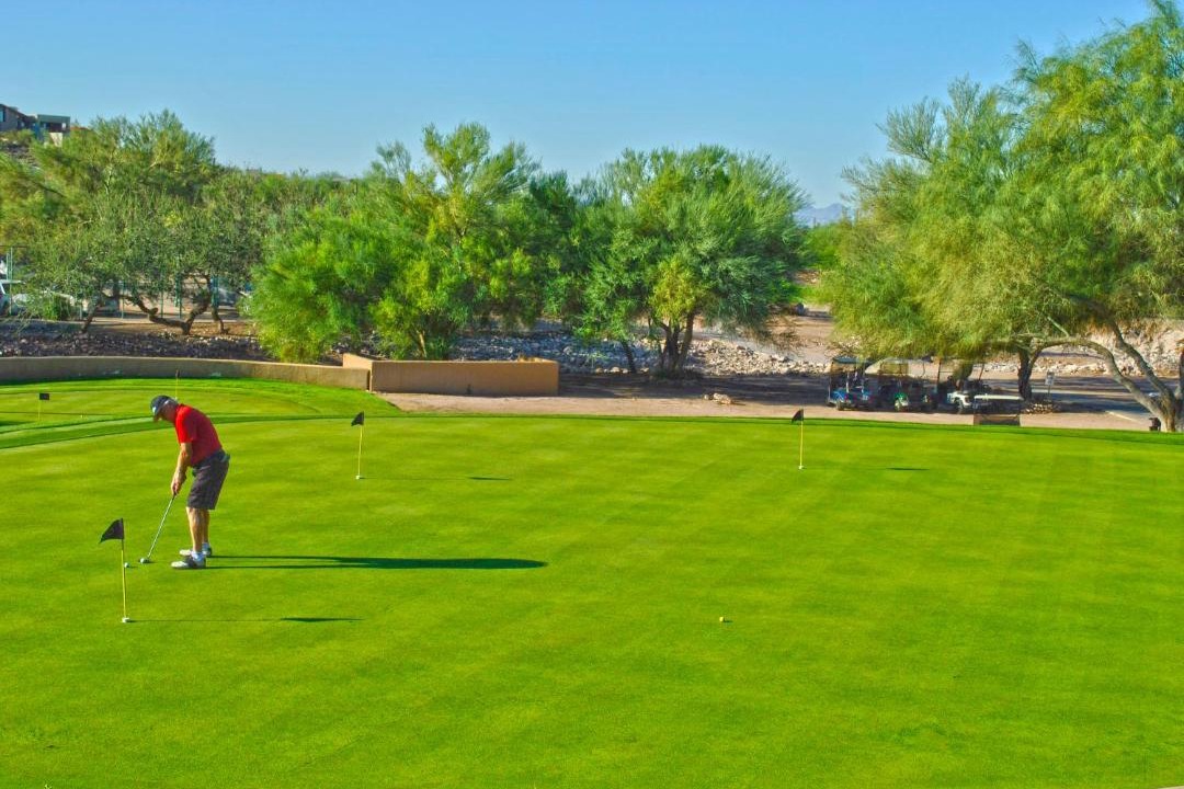 Photo of Others in Gold Canyon